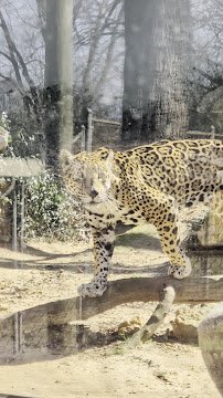 Mann Wildlife Learning Museum photo 2