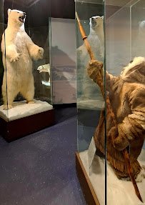 Mann Wildlife Learning Museum photo 3