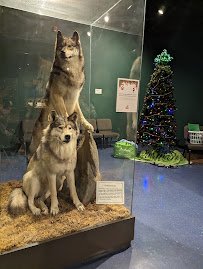 Mann Wildlife Learning Museum photo 4