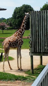 Mann Wildlife Learning Museum photo 6