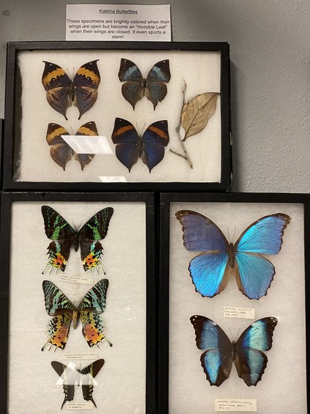 San Luis Valley Museum | Alamosa photo 6