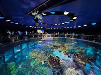 New England Aquarium