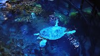 New England Aquarium photo 2