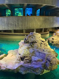 New England Aquarium photo 4