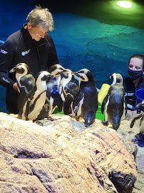New England Aquarium photo 6