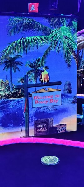 Shipwreck Neon Mini Golf photo 5