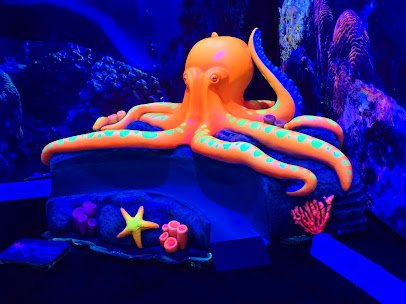 Shipwreck Neon Mini Golf photo 6