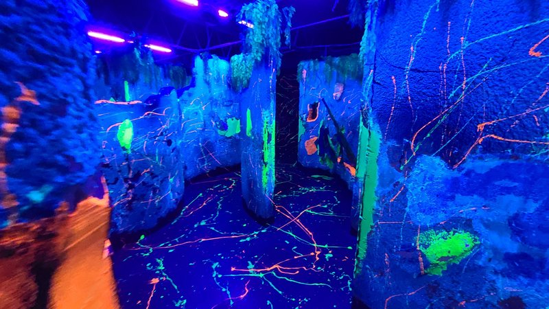 Trex Fun Spot Go Karts photo 4
