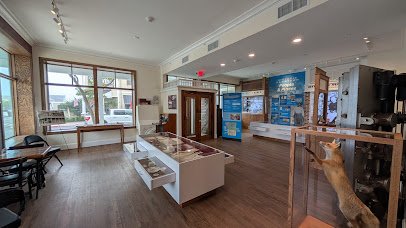 Museum of Ocean City photo 4