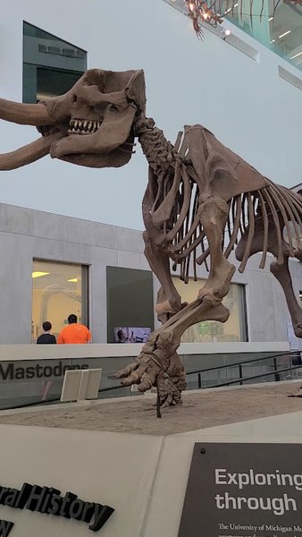 University of Michigan Museum of Natural History photo 2