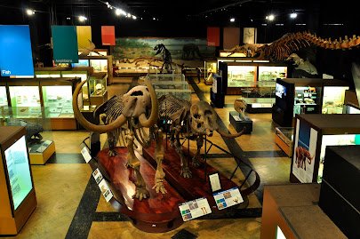 University of Michigan Museum of Natural History photo 3