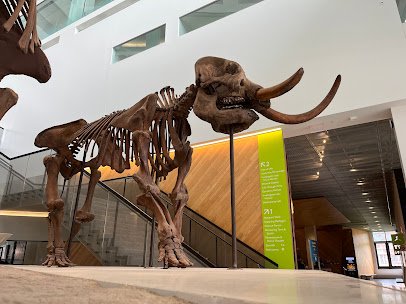 University of Michigan Museum of Natural History photo 4