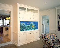 House of Fins photo 4