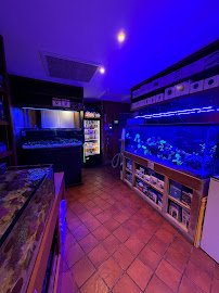 House of Fins photo 6