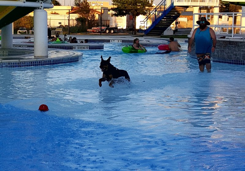 Pampa H20 Water Park photo 6