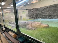 Scales & Tails Utah Reptile Zoo photo 2