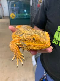 Scales & Tails Utah Reptile Zoo photo 4