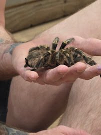 Scales & Tails Utah Reptile Zoo photo 5