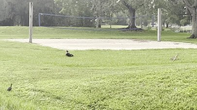 C.B. Smith Park photo 2