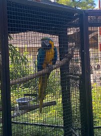 Bergen County Zoo photo 3