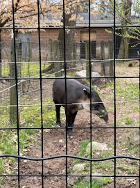 Bergen County Zoo photo 4