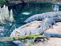 Bergen County Zoo photo 5