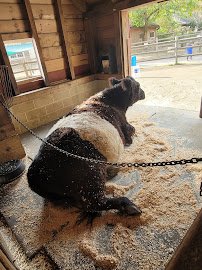 Bergen County Zoo photo 6