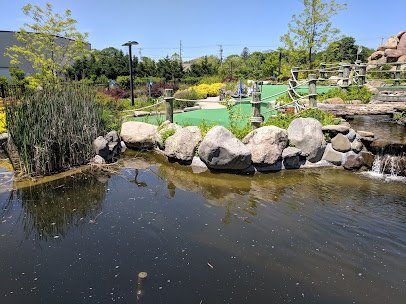 Sayville Falls Mini Golf photo 4