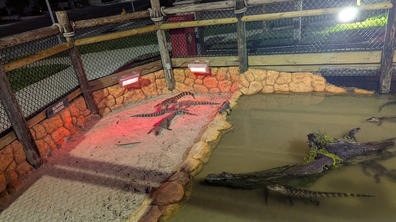 Congo River Golf photo 6
