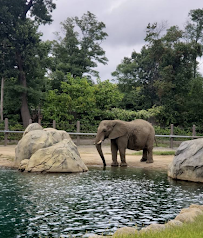 Roger Williams Park Zoo photo 4