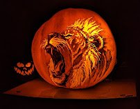 Roger Williams Park Zoo photo 5