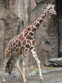 Philadelphia Zoo photo 3