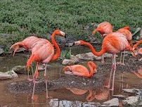 Philadelphia Zoo photo 4