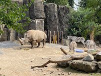 Philadelphia Zoo photo 5