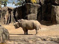 Philadelphia Zoo photo 6