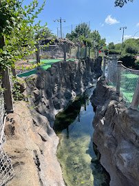 Royal Oak Golf Center photo 6