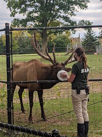Zoo New York photo 5