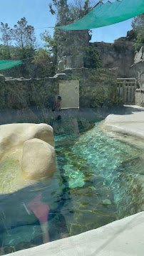Seven Seas photo 2