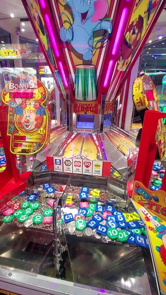 Zap Zone XL photo 2