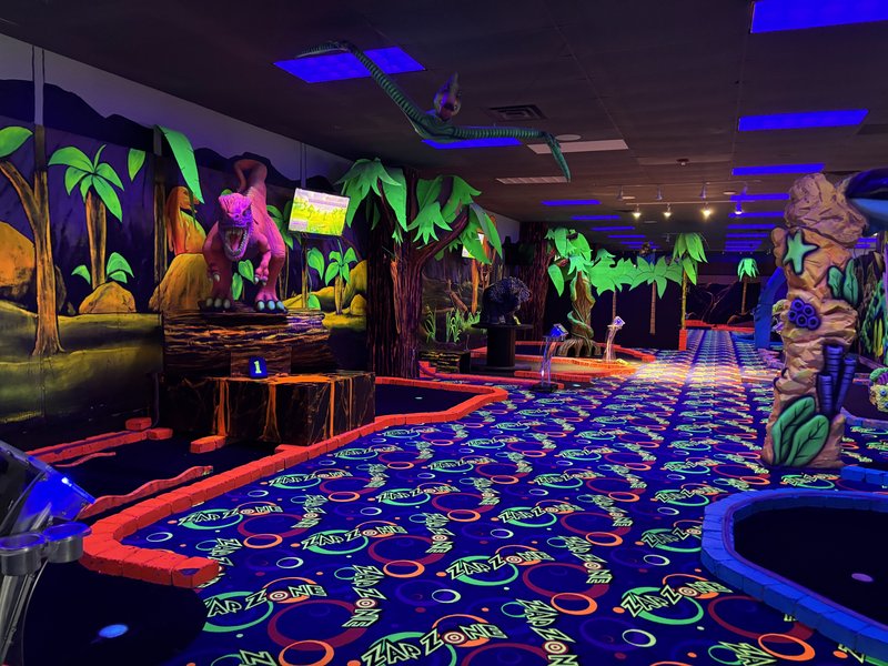 Zap Zone XL photo 3