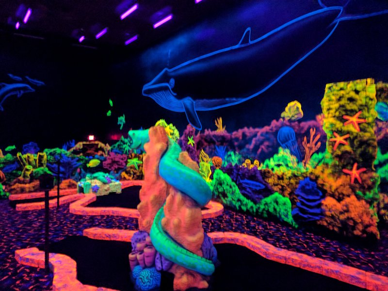 Zap Zone XL photo 5