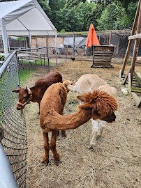 Carriage Shack Farm LLC photo 2