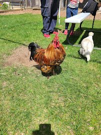 Carriage Shack Farm LLC photo 5