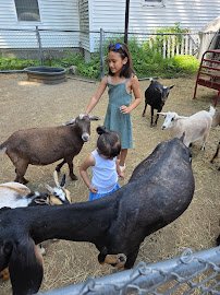 Carriage Shack Farm LLC photo 6