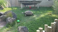 Columbian Park Zoo photo 2