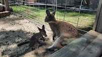 Columbian Park Zoo photo 3