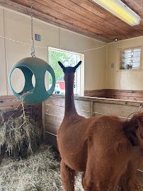 Columbian Park Zoo photo 4