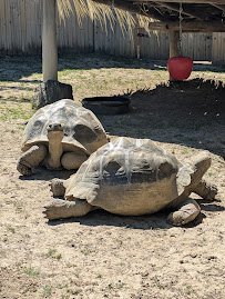 Columbian Park Zoo photo 6