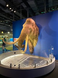 Liberty Science Center photo 6