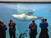 Alaska SeaLife Center photo 3